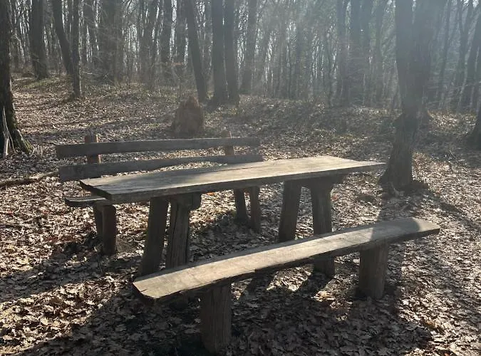 Marija 维尔蒂尼克