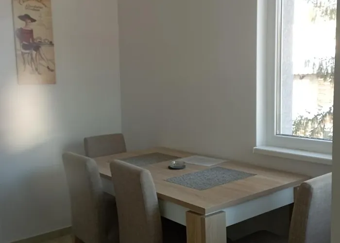 Marija 维尔蒂尼克